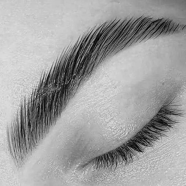 brows & lashes